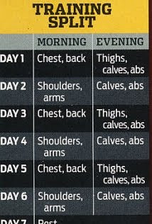 Arnold Workout Chart