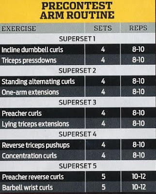 Arnold Bodybuilding Workout Chart