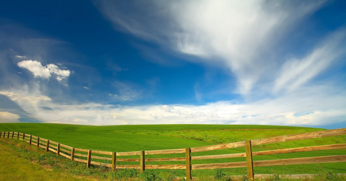 Free Halloween Wallpapers - mmw blog: 3D & HD Nature Wallpapers 2010-11