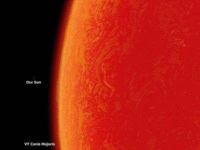 canismajoriszanovustranu.jpg
