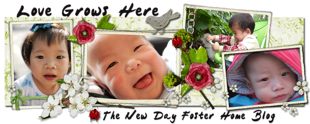Love Grows Here : The New Day Foster Home Blog
