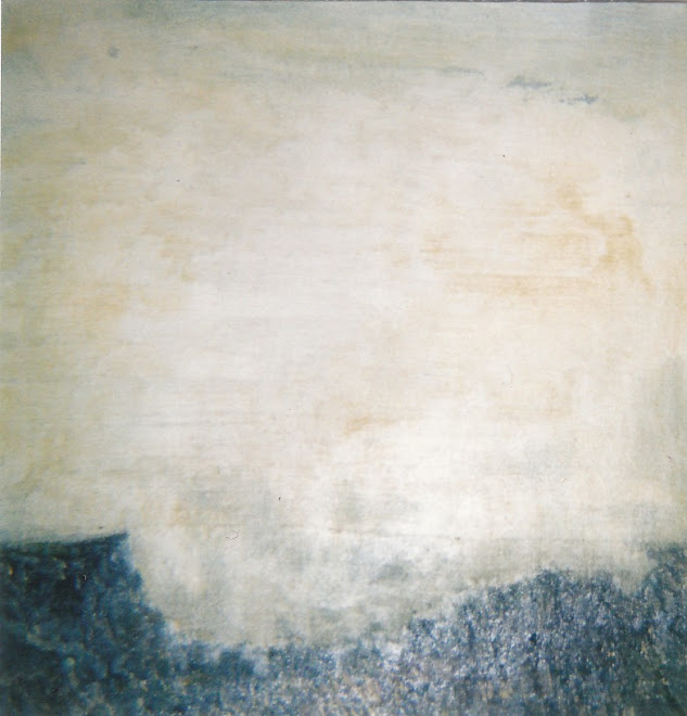 un mètre carré sur la falaise (ina)