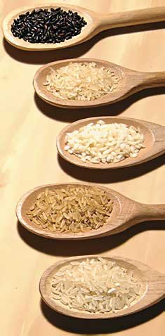 [arroz.bmp]