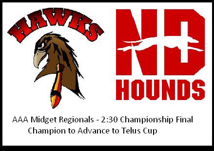 pembina valley hawks