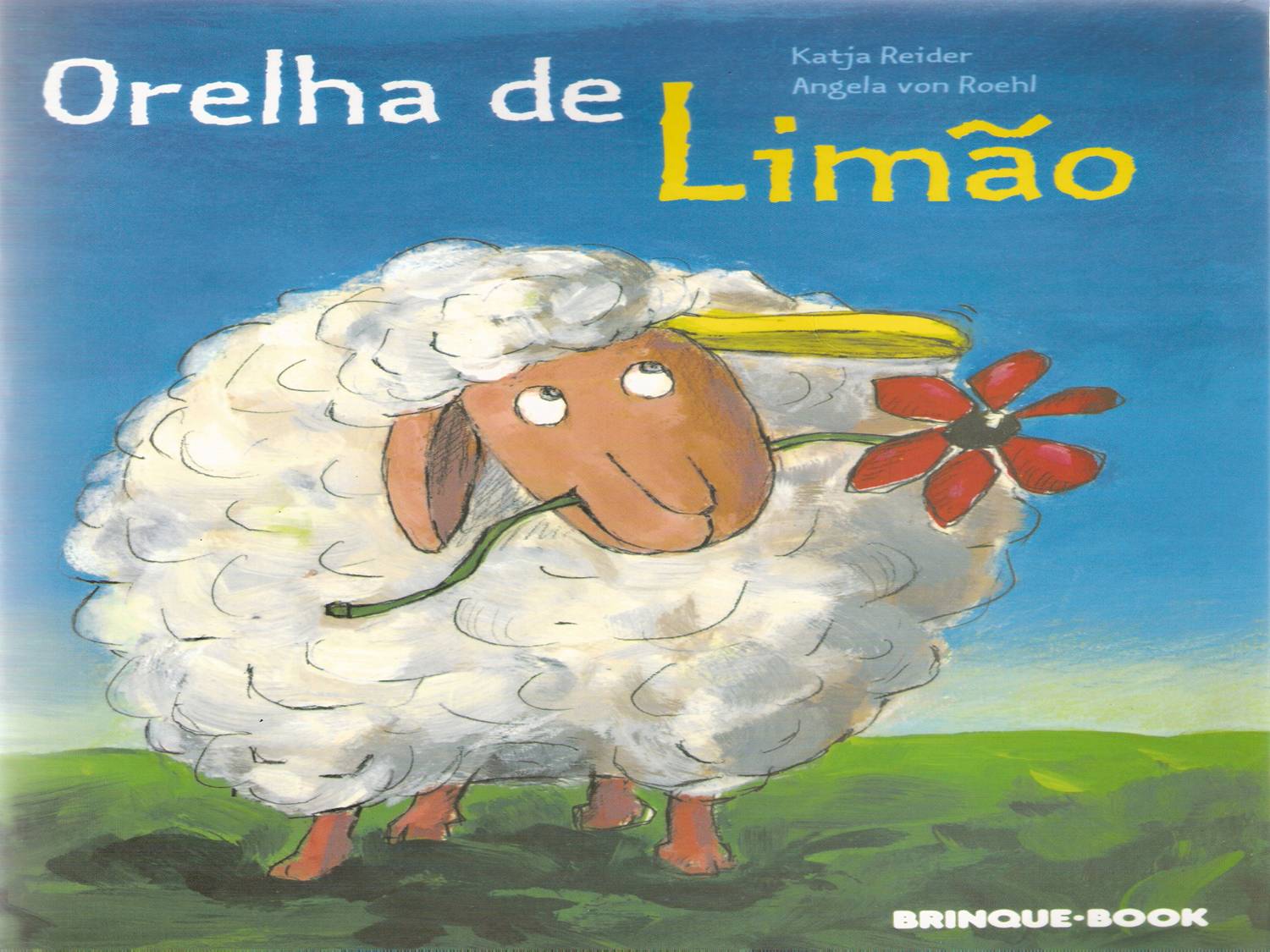 [Imagem2.jpg]
