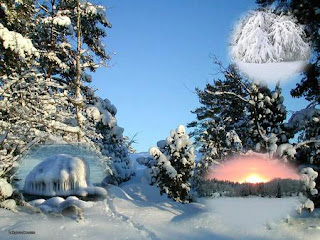 Sweden Winter Nature Wallpaper