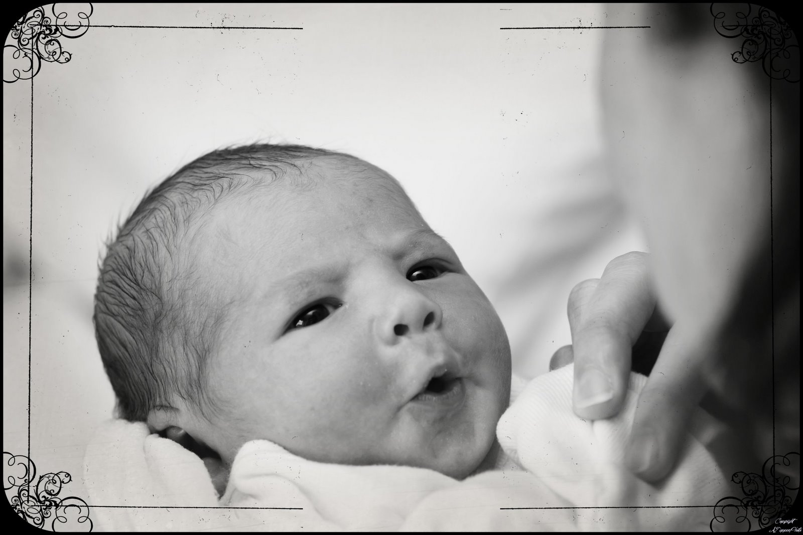 [BretonBirth_013F.jpg]