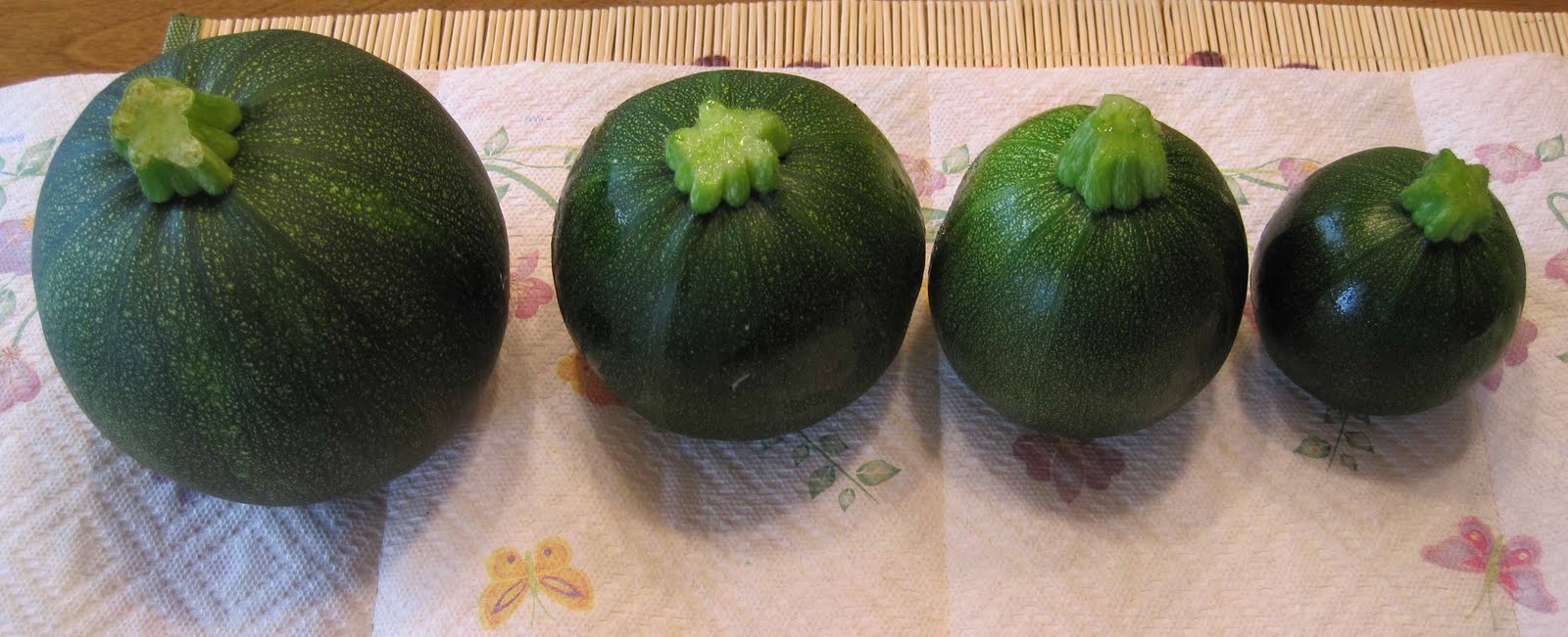 Planting Round Squash