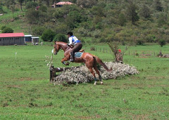 First obstacle at Gilgil Subaru 2-Day Event, May 2009