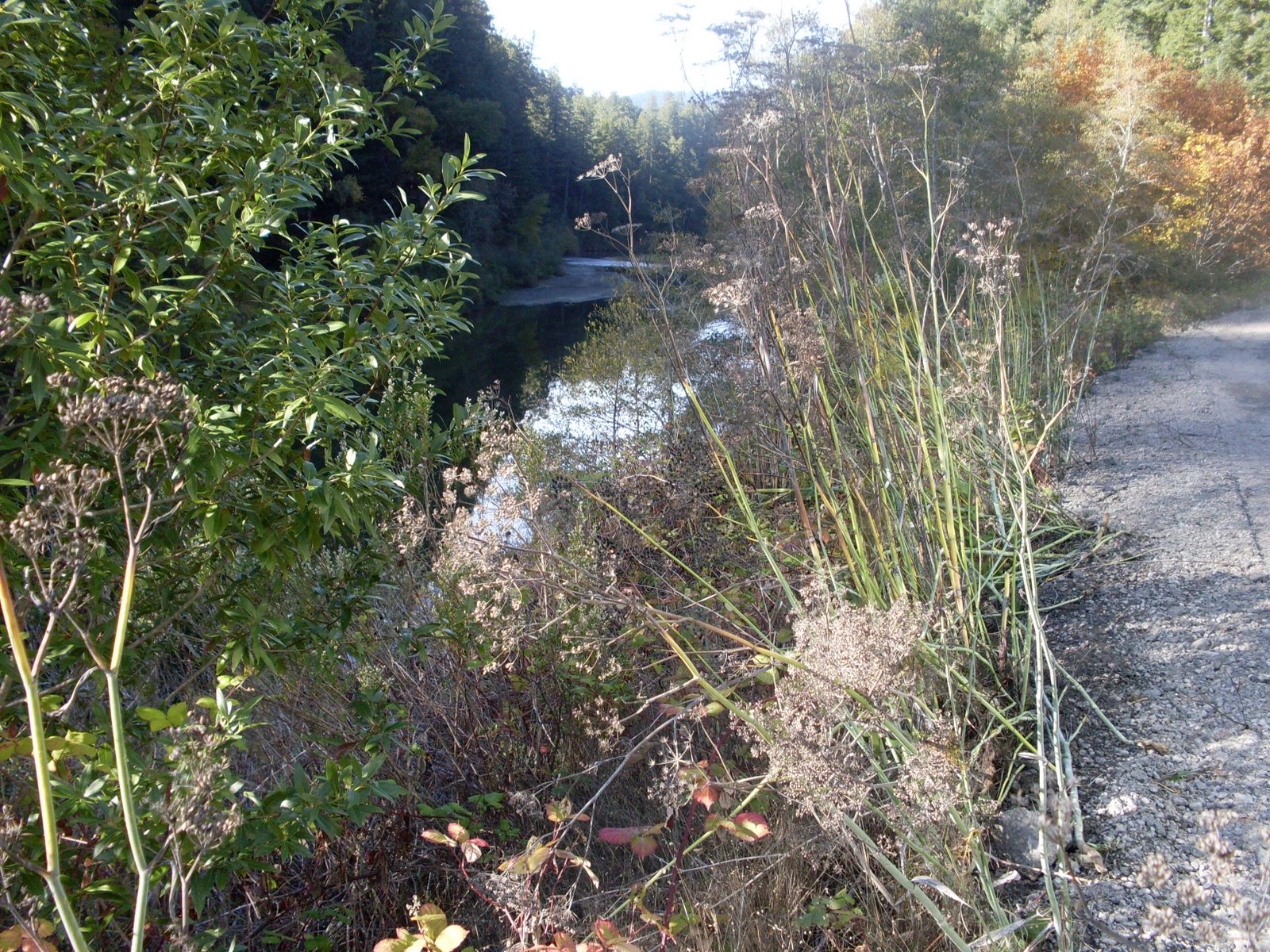 [SDC10256.JPG]