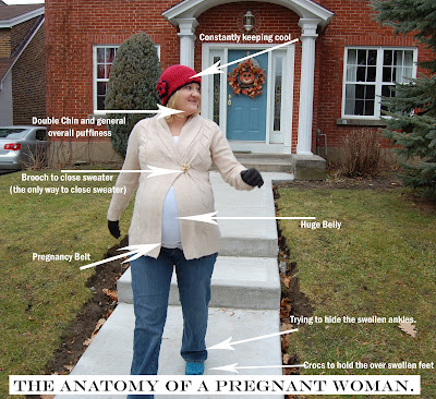 A Happy Heart Blog: The anatomy of pregnant woman.