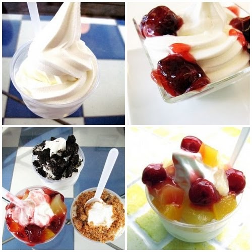 Helen Yi Frozen Yogurt VS. Ice Cream