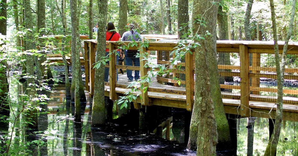 RIVER REGION PHOTOGRAPHY Millbrook AL Alabama Nature Center