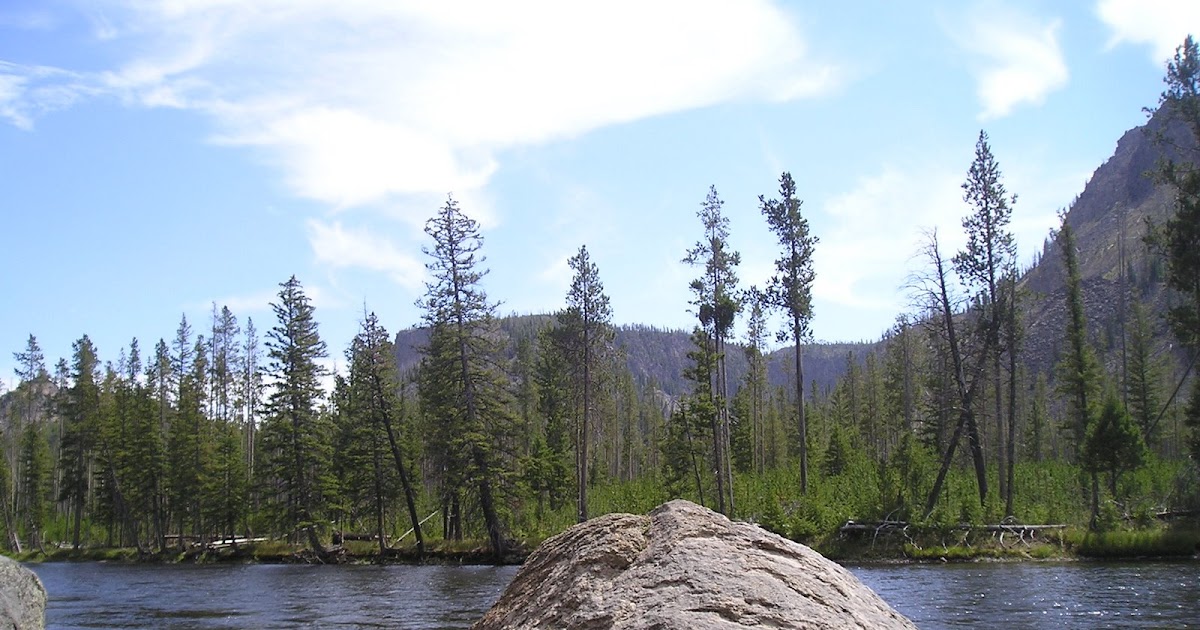 Computer Science Curriculum