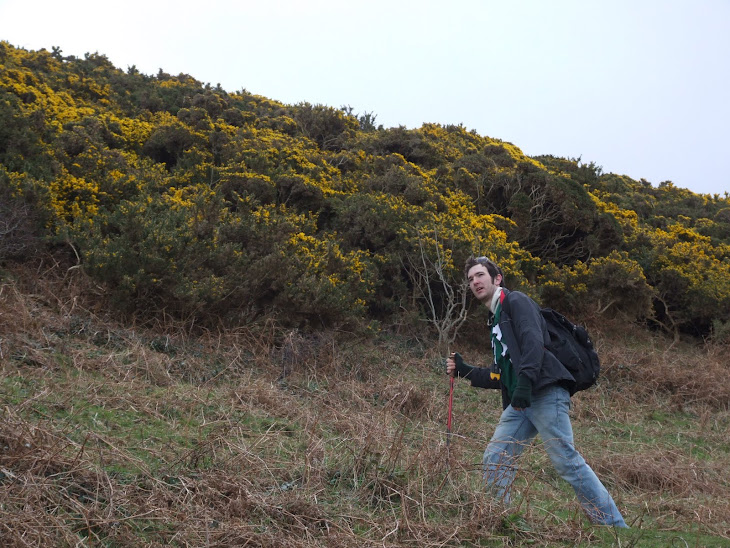Walking in Wales