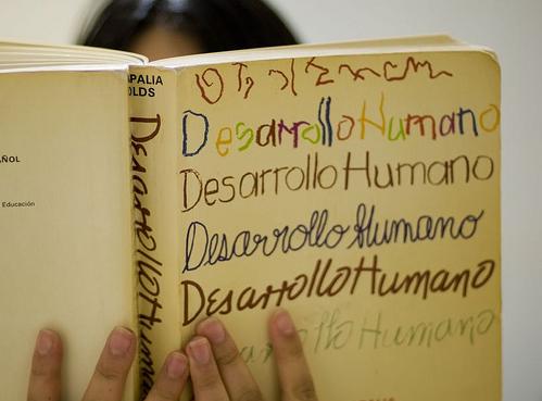 DESARROLLO EN ECONOMIA desarrollo en economia: