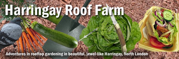 Harringay Roof Farm