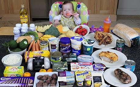 8 Months Baby Food Diet