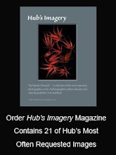 Hub\