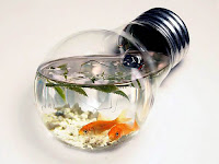facts about Goldfish