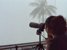 Mi foto