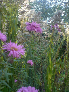 Goldmaries Wortportal Oktober 2009