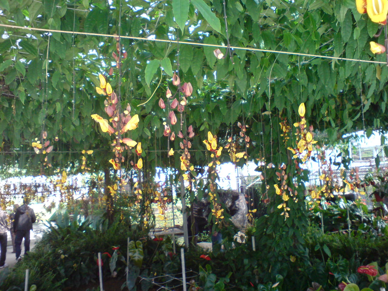 [DSC03380.JPG]