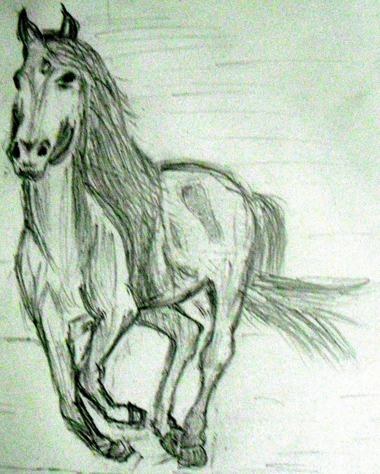 JD's Sketch Blog: A Galloping Horse - Pencil Sketch