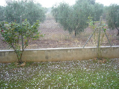 Granizado de verano