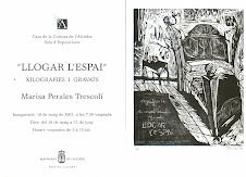 Llogar l'espai 1998