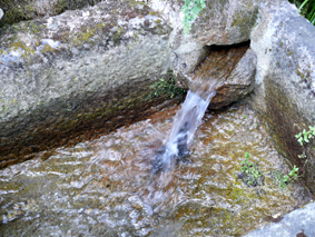 [design_com_texto249.jpg]