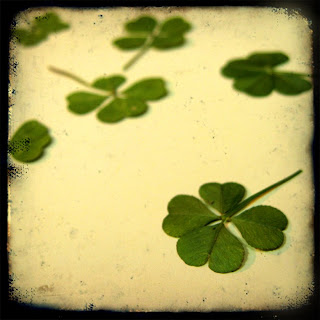 How To Find A Four Leaf Clover