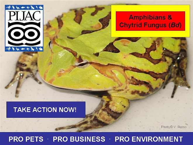 Amphibians & Chytrid Fungus (Bd) NOI