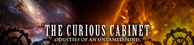 The Curious Cabinet; oddities of an untamed mind