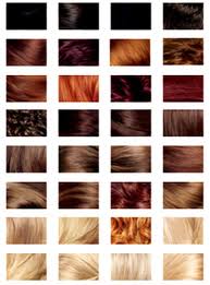 صدئ غائم متدين حكم الصبغة للنساء alhashim partners com