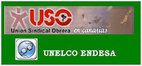 USO UNELCO-ENDESA