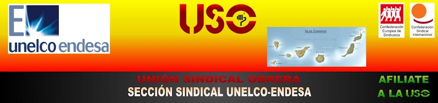 USO UNELCO-ENDESA