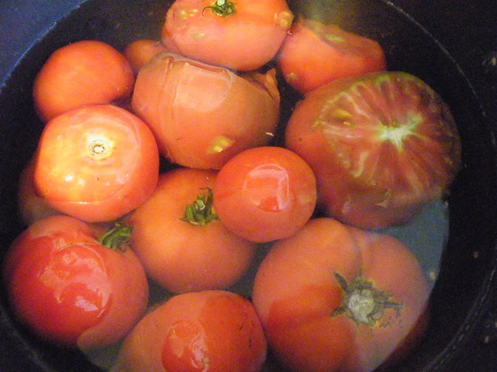 Chronicles of a Frugal Gardener Canning Tomatoes, Italian Diced and