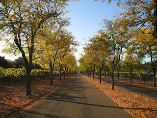 Sterling Vineyards Sterling Vineyards