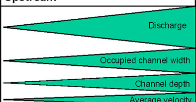 River tillingbourne picture