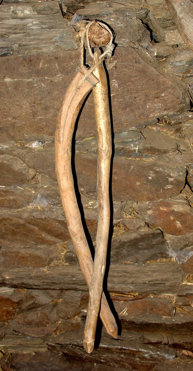 [DSC07165arrcho.JPG]