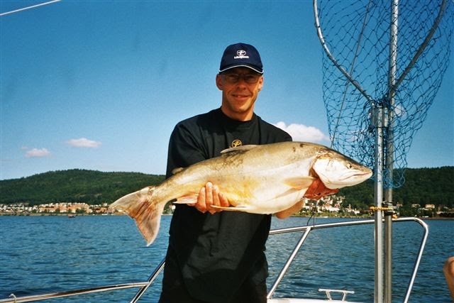 Röding 5,8 kg