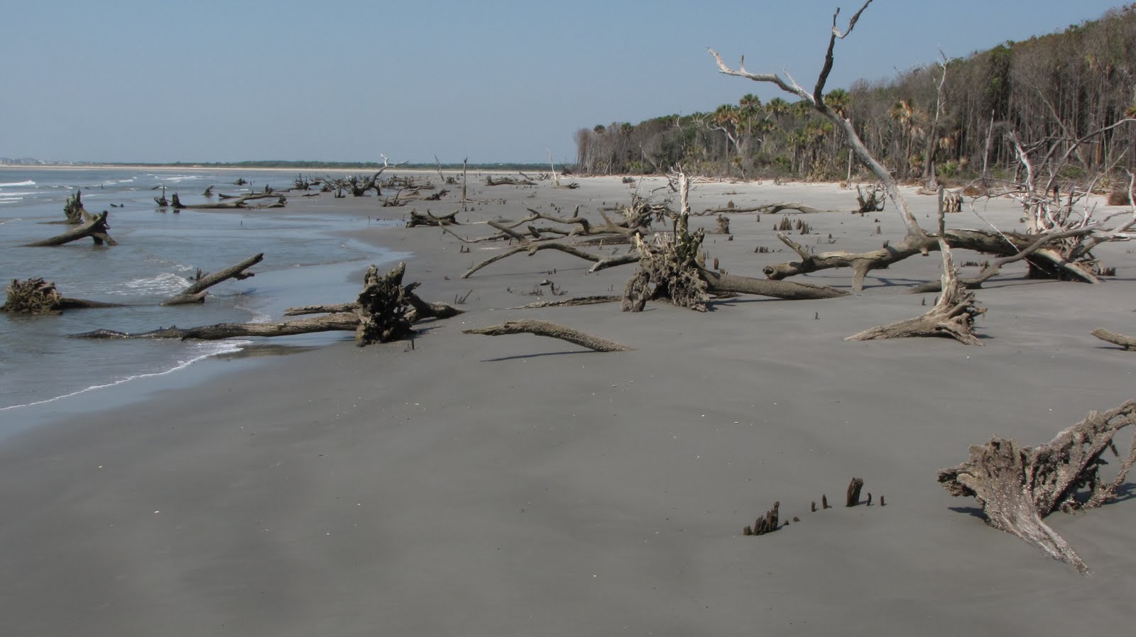 Barrier Island ECOthon 1st ever Capers Island ECOrun on June 20