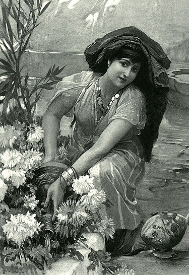 [harem_girl_photograuve.jpg]