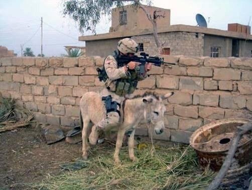 [Armyreequipment2.bmp]