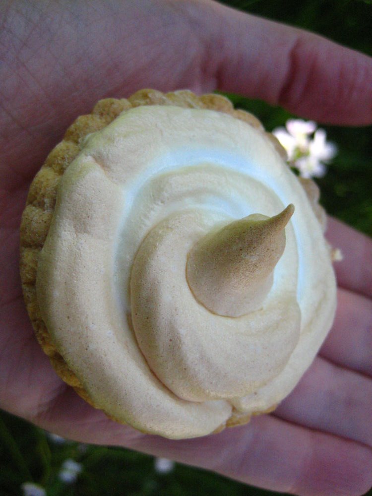 [TinyLemonPie.jpg]