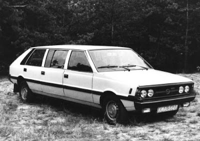 Car_polonez-06.jpg