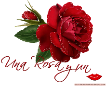 Rosa com beijinho