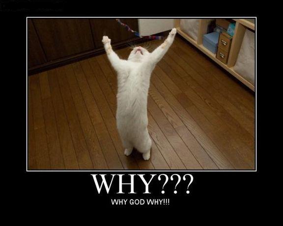 why-god-why12.jpg