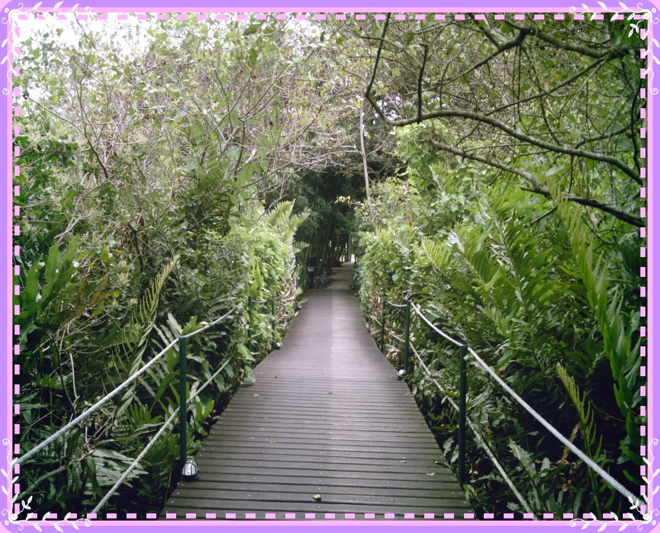 [natureza+053.JPG]